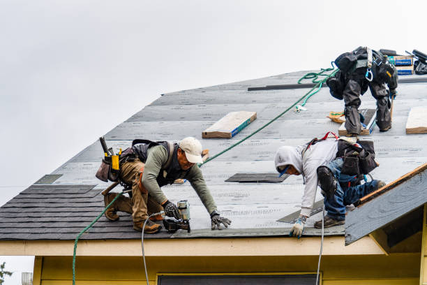 Professional Storm Damage Roof Repair technician working in Apulia Station, NY